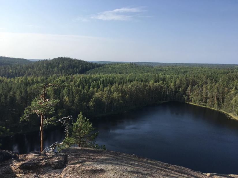 42058271_1963712380316542_7459839348217741312_n